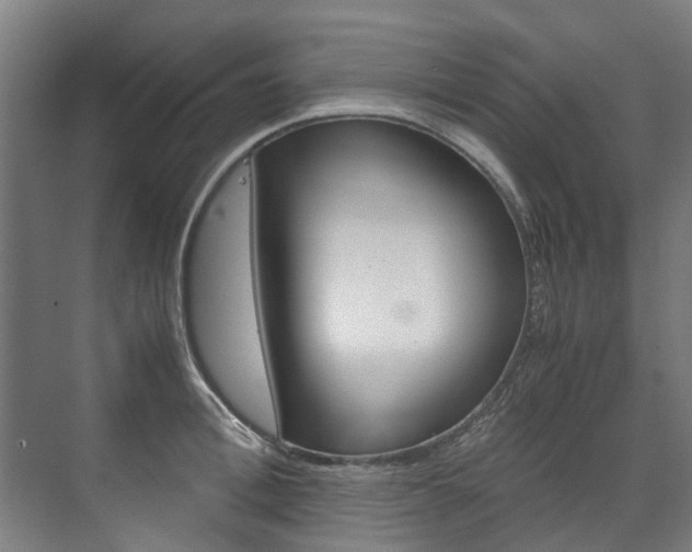 X0000072500996200607140931