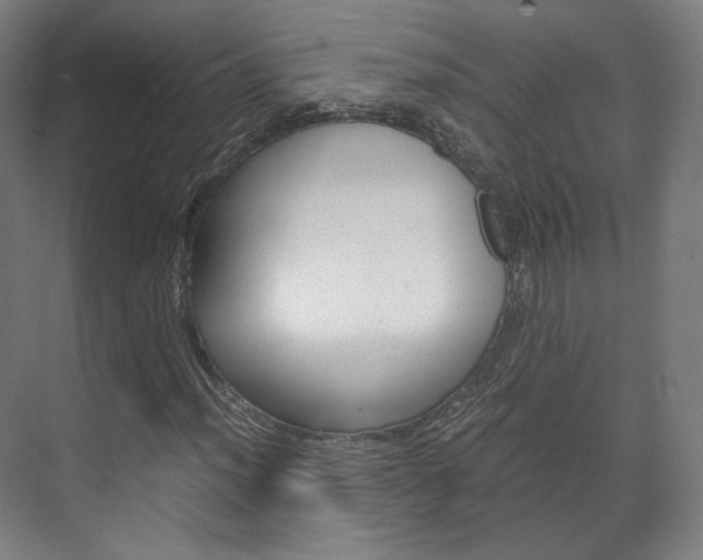 X0000072501012200607140930