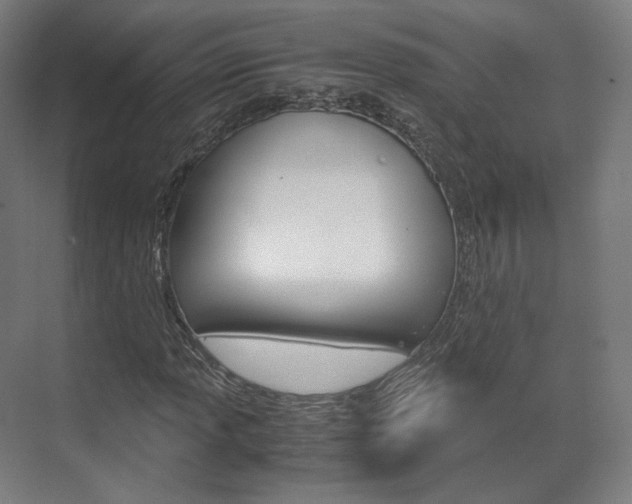 X0000072501013200607140930