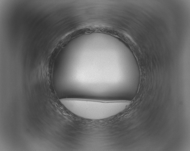 X0000072501016200607140931