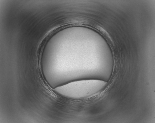 X0000072501019200607140931
