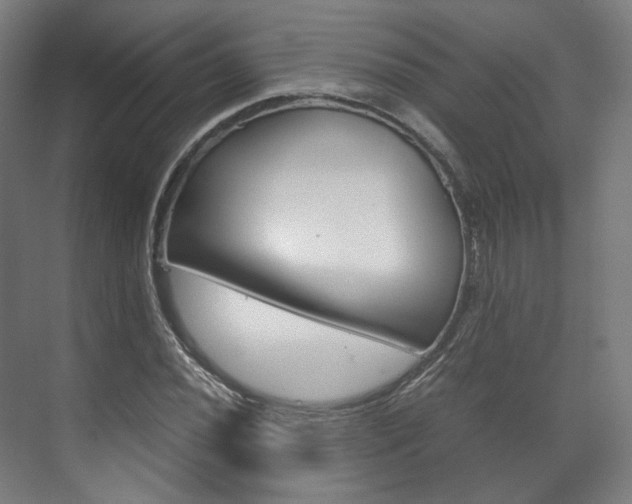 X0000072501020200607140931