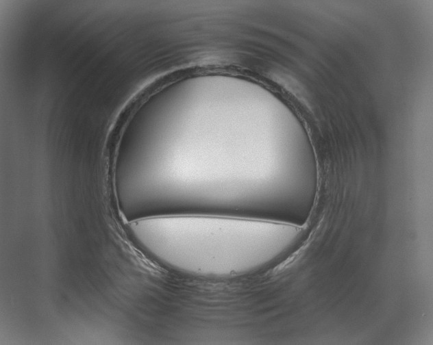 X0000072501021200607140931