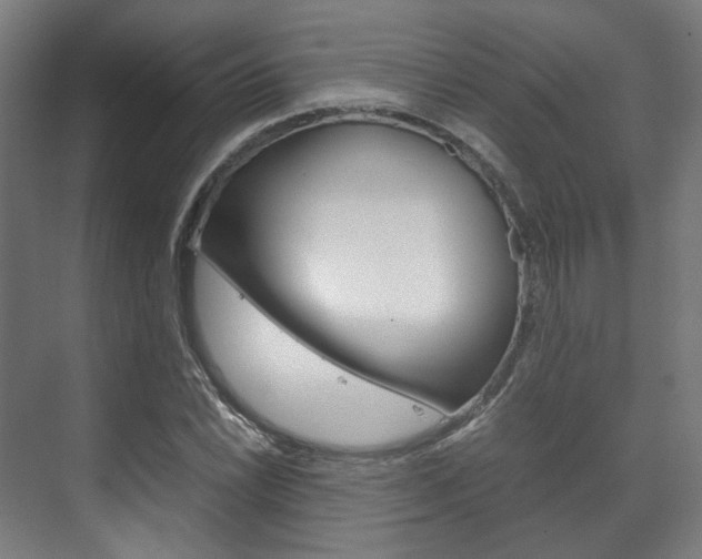 X0000072501022200607140931