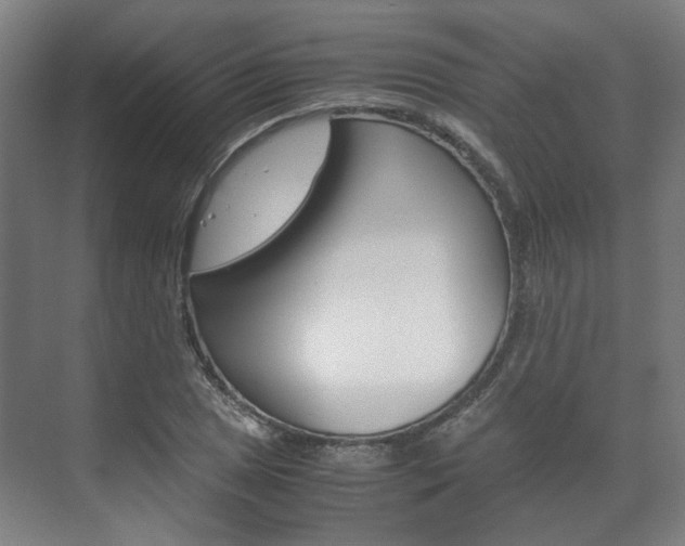 X0000072501025200607140931