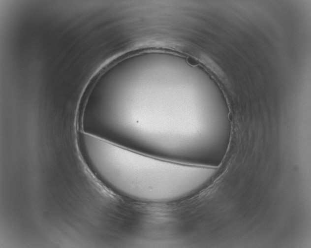 X0000072501028200607140931