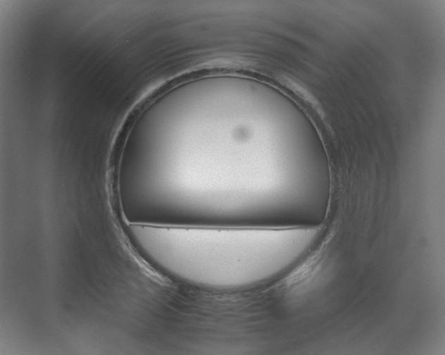 X0000072501029200607140931