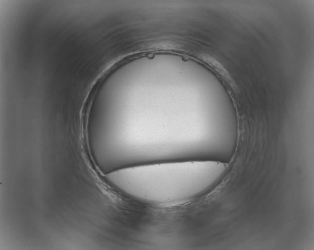 X0000072501031200607140931