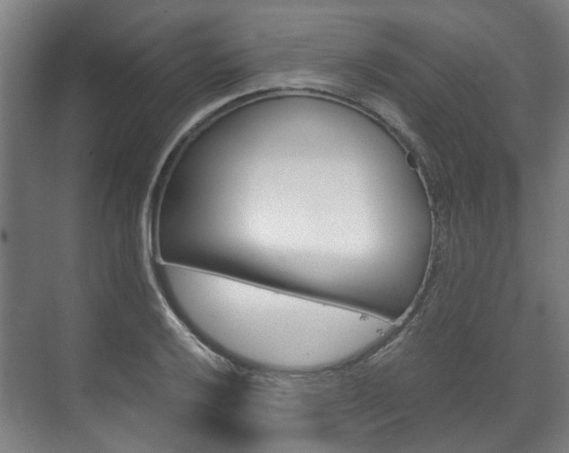 X0000072501032200607140931