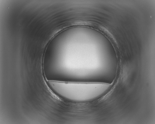 X0000072501033200607140931