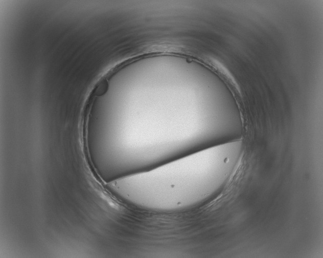 X0000072501035200607140931