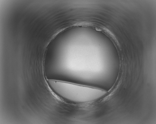 X0000072501041200607140931