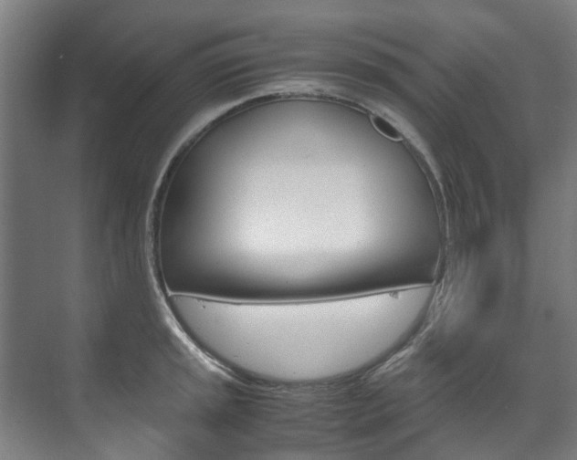 X0000072501045200607140931
