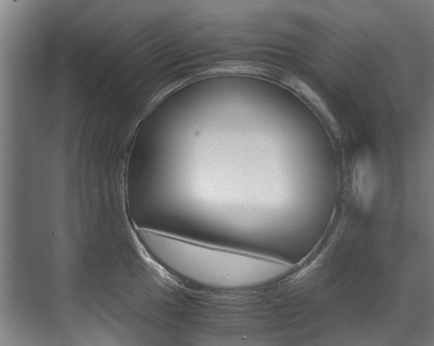 X0000072501049200607140931