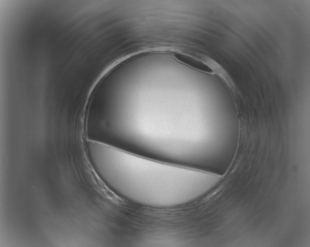X0000072501052200607140931