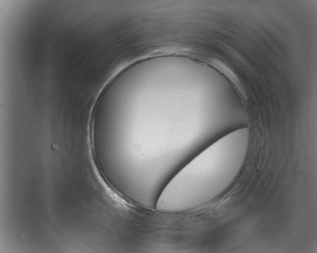X0000072501055200607140931