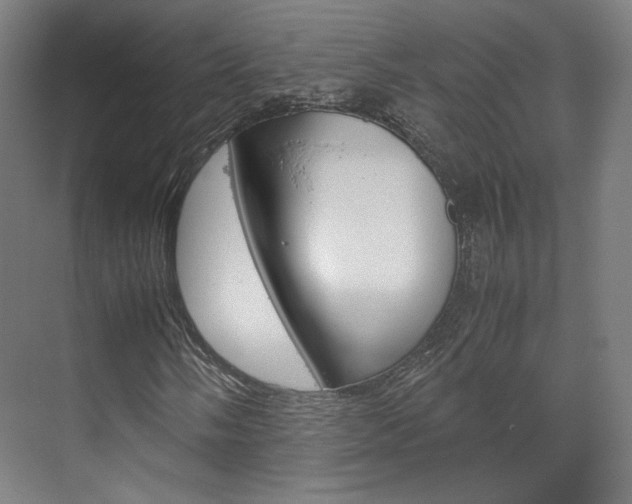 X0000072501058200607140930