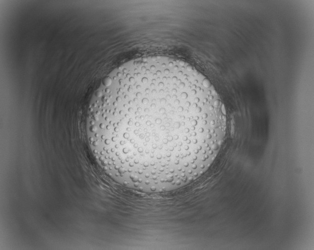X0000072501059200607140930