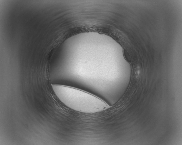X0000072501060200607140930