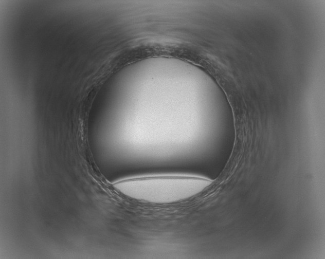 X0000072501061200607140930