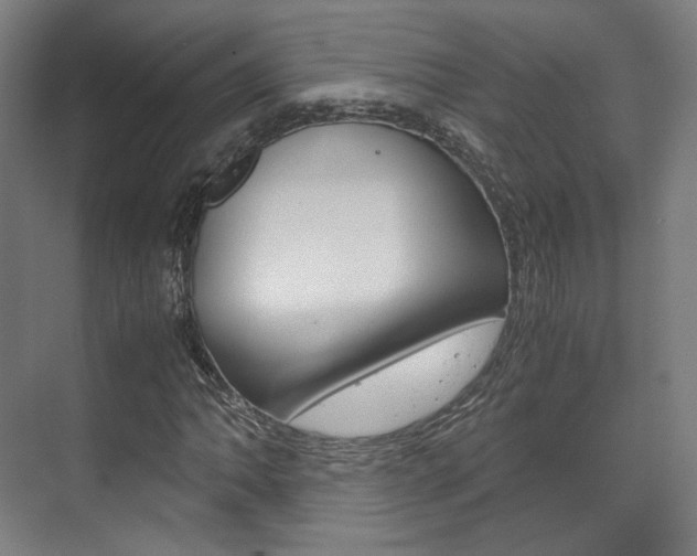 X0000072501062200607140930