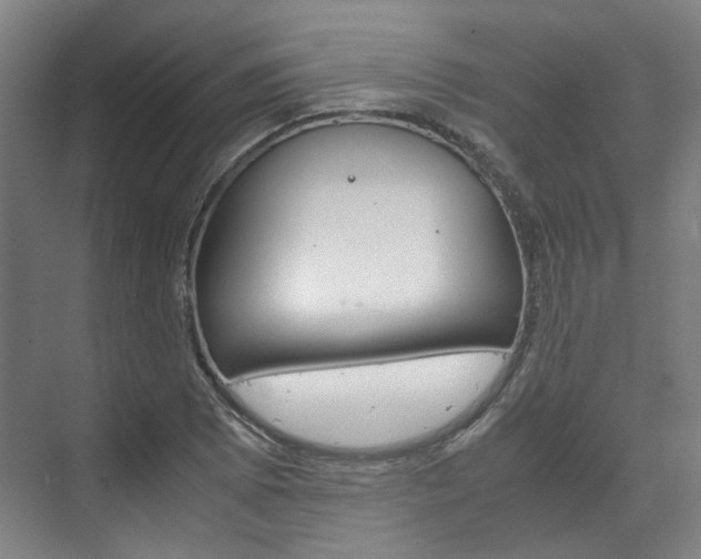 X0000072501073200607140930