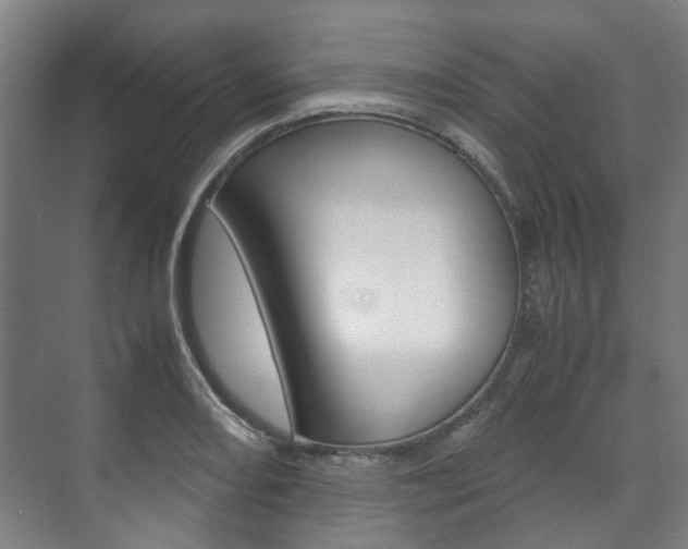 X0000072501082200607140930