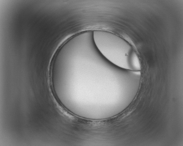 X0000072501087200607140930