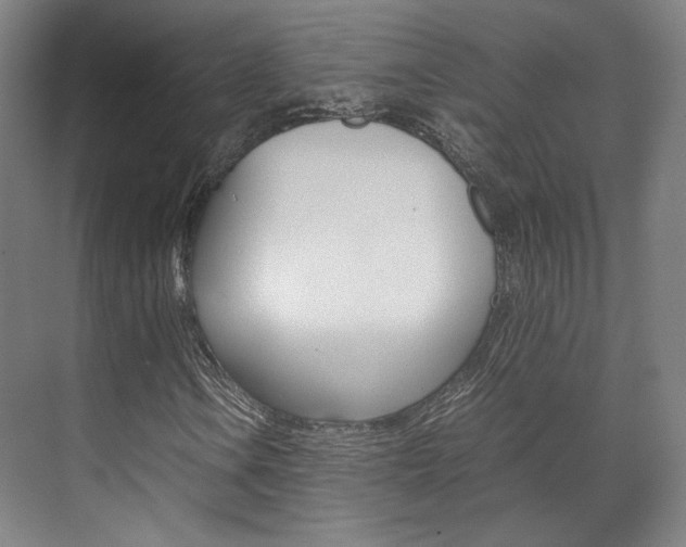 X0000072501106200607140929