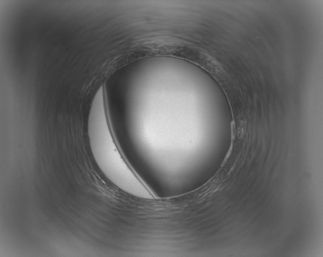 X0000072501108200607140929