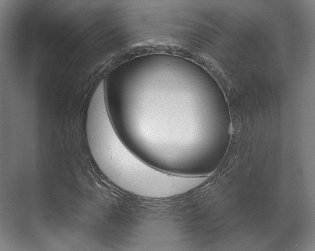 X0000072501110200607140929