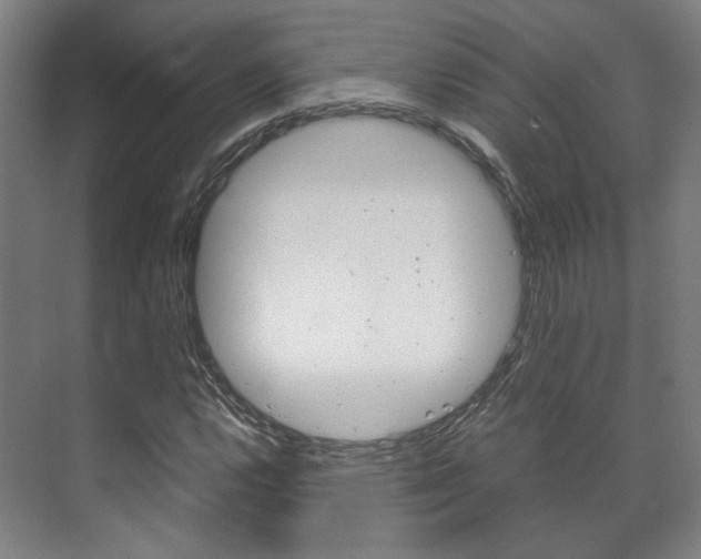 X0000072501112200607140929