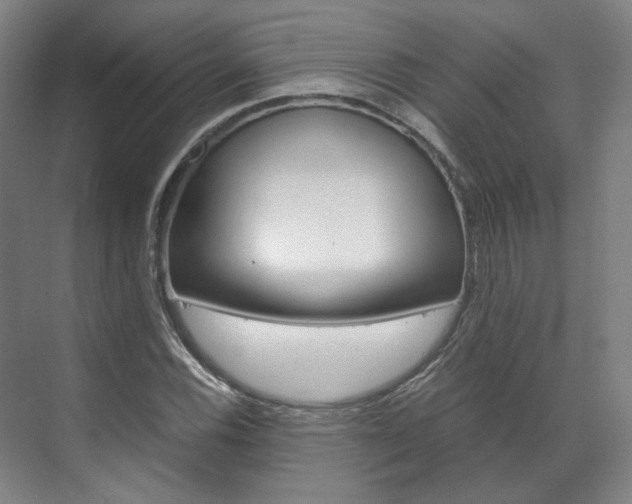 X0000072501116200607140929
