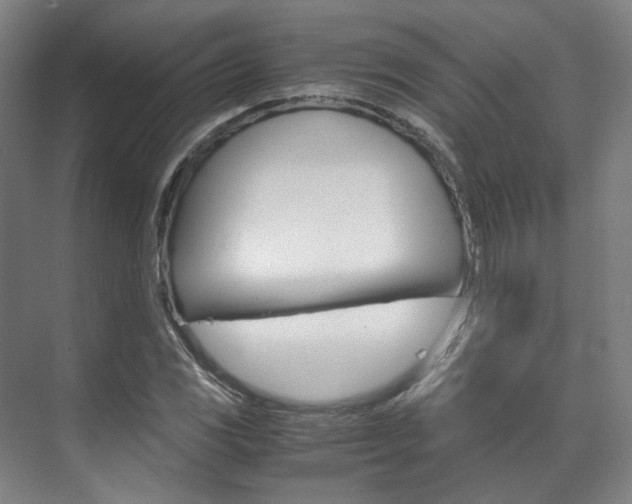 X0000072501117200607140929