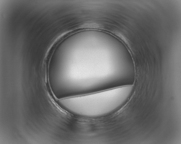 X0000072501123200607140929