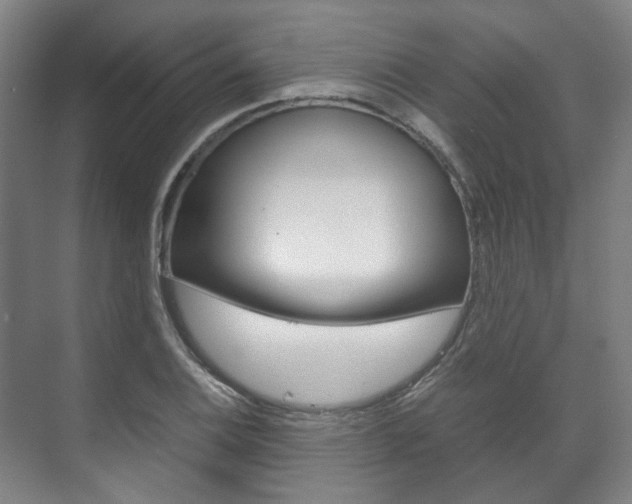 X0000072501124200607140929