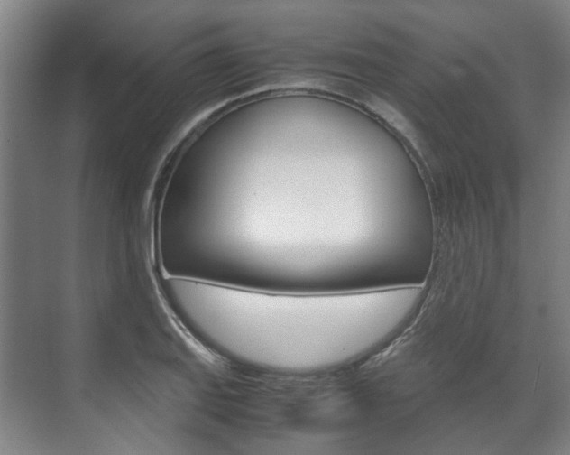 X0000072501127200607140929