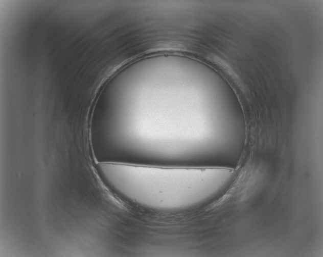 X0000072501129200607140929