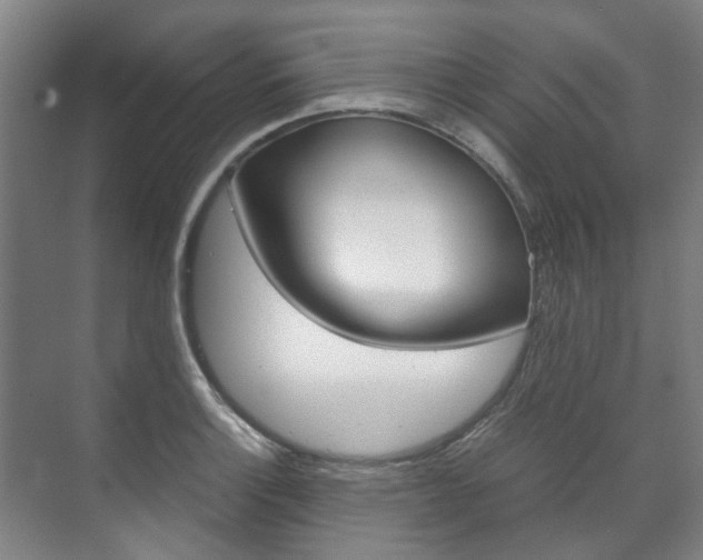 X0000072501132200607140929
