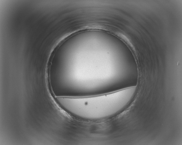 X0000072501133200607140929