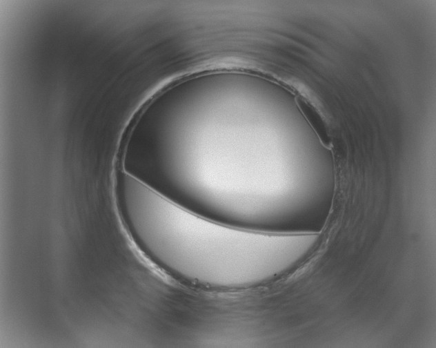 X0000072501134200607140929