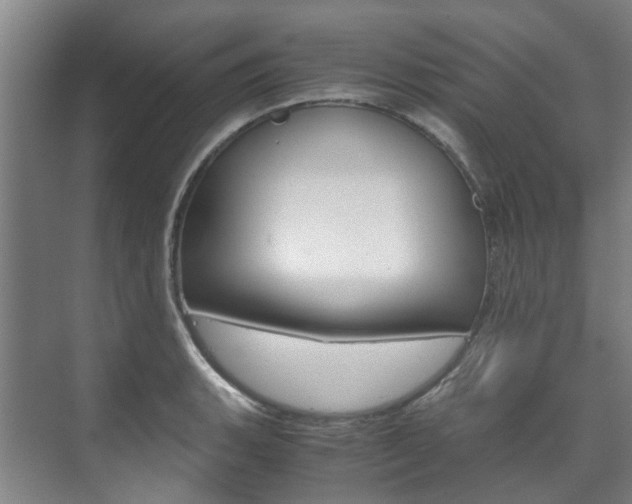 X0000072501135200607140929