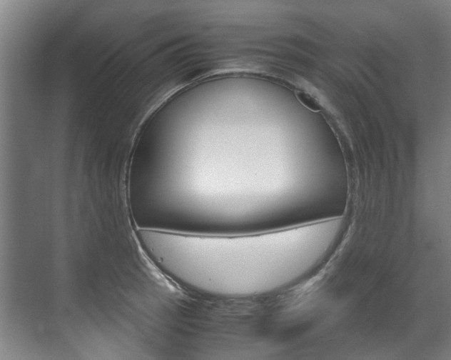 X0000072501137200607140929