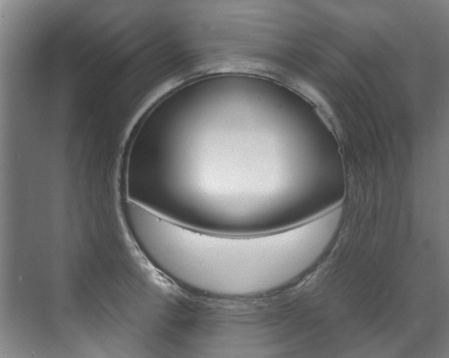 X0000072501138200607140929