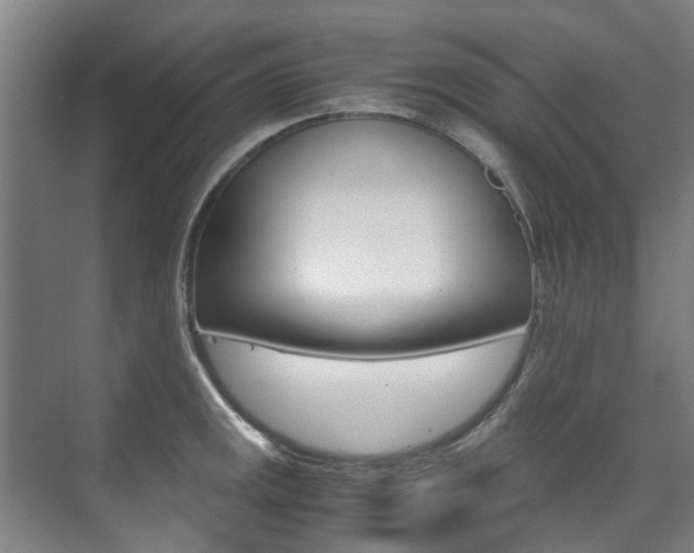 X0000072501141200607140929