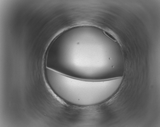X0000072501142200607140929