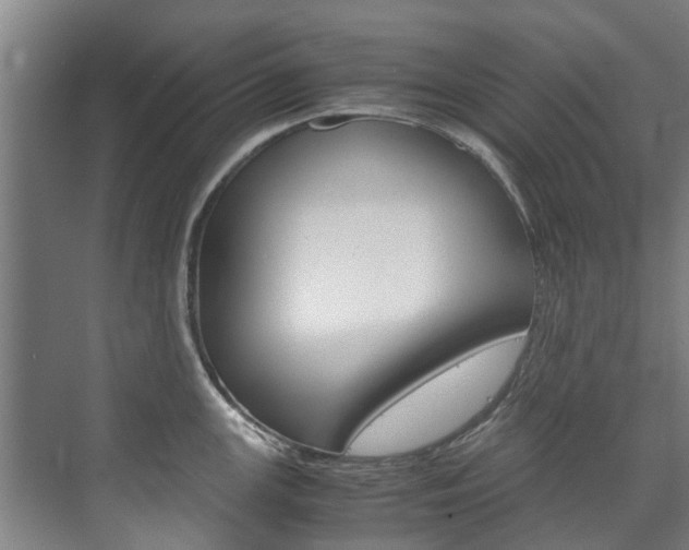 X0000072501147200607140929