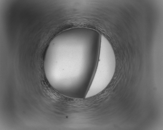 X0000072501153200607140929