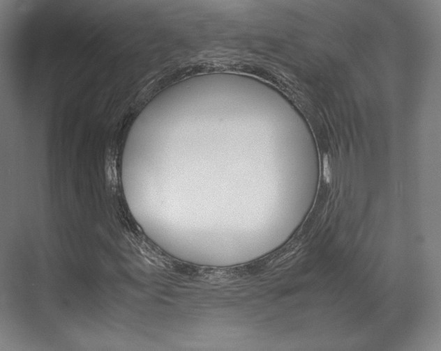 X0000072501155200607140929