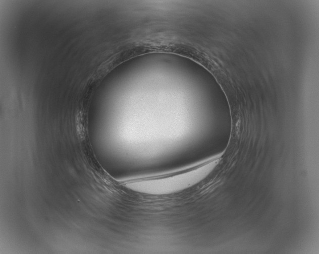 X0000072501156200607140929